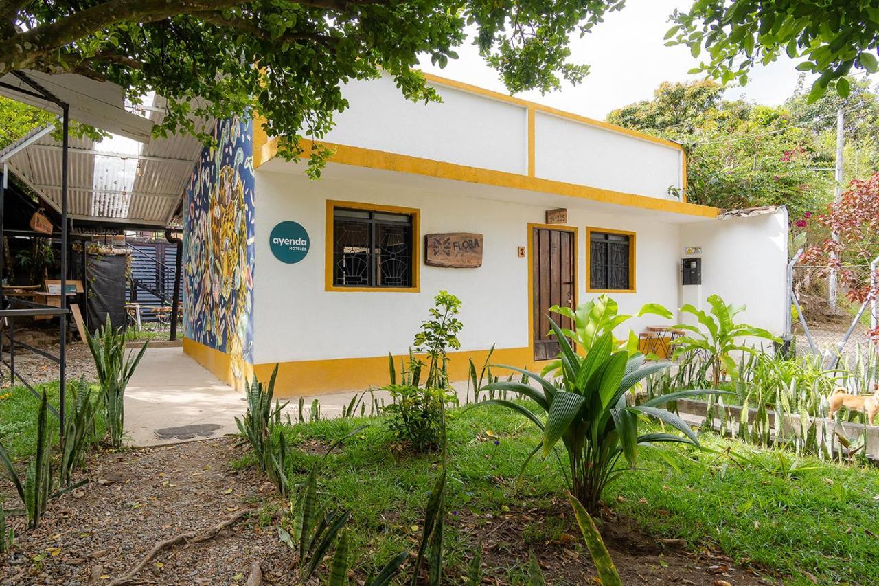 Ayenda Flora Jaguar Bed & Breakfast Ibagué Exterior photo